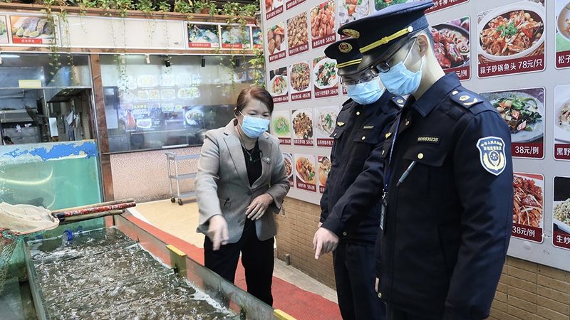 食品招商标准规范公司排名