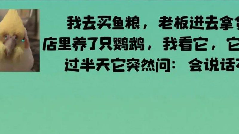 办公室小零食，热量知多少？饼干热量大比拼**